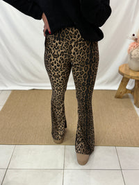 Legging Léopard - Ilis