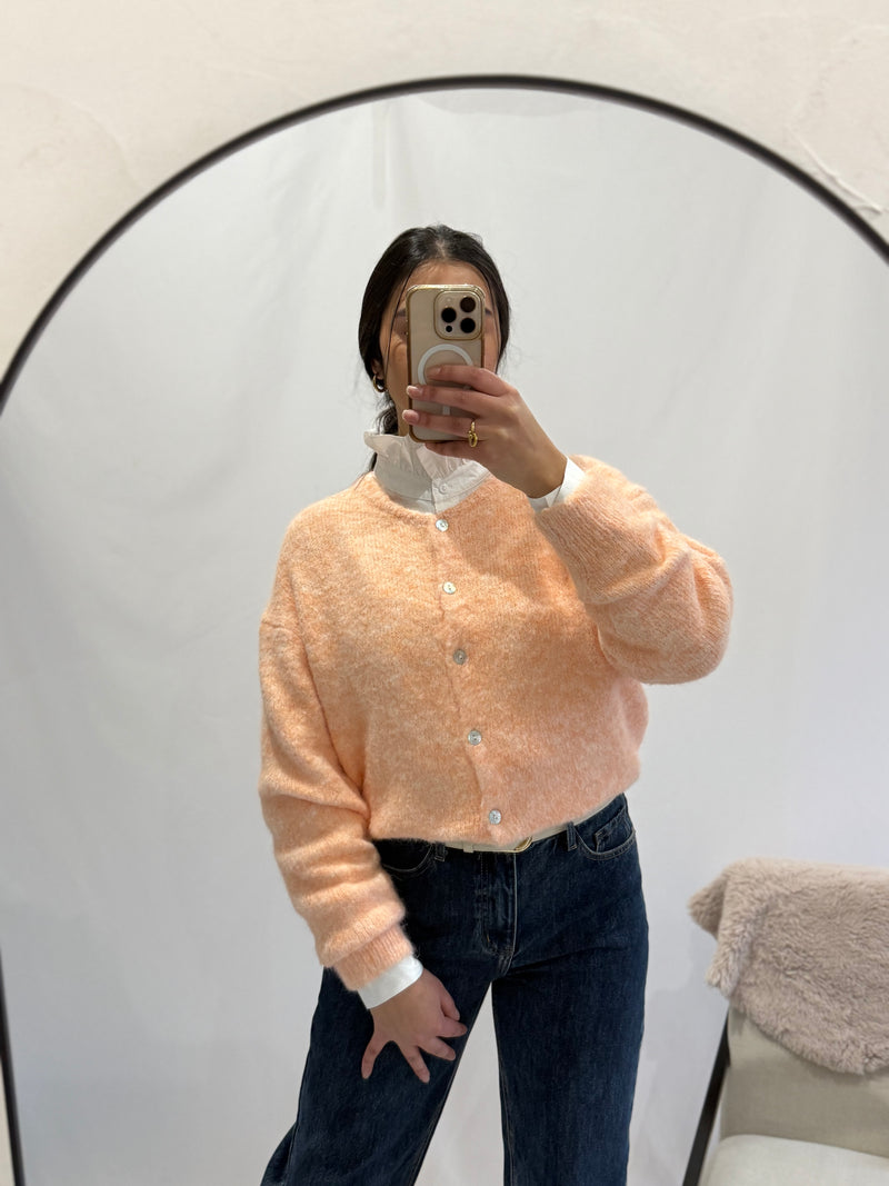 Gilet orange  - Aude