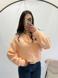 Gilet orange  - Aude