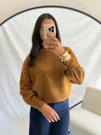 Pull Camel - Alize