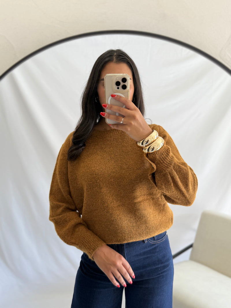Pull Camel - Alize